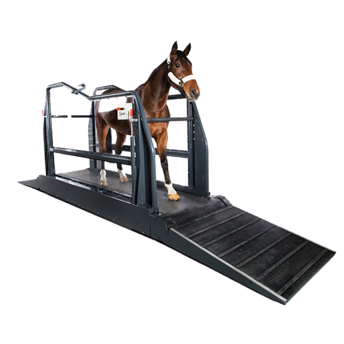 HAICO Highspeed Equine Treadmill